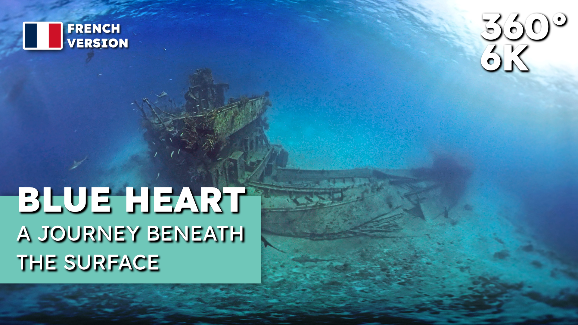 Blue Heart, a journey beneath the surface - French Version