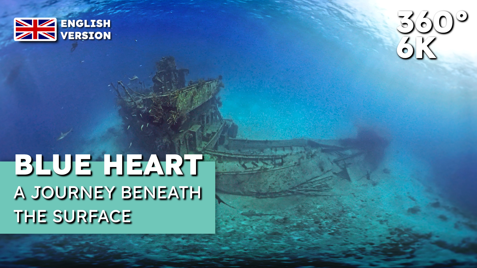 Blue Heart, a journey beneath the surface - English Version